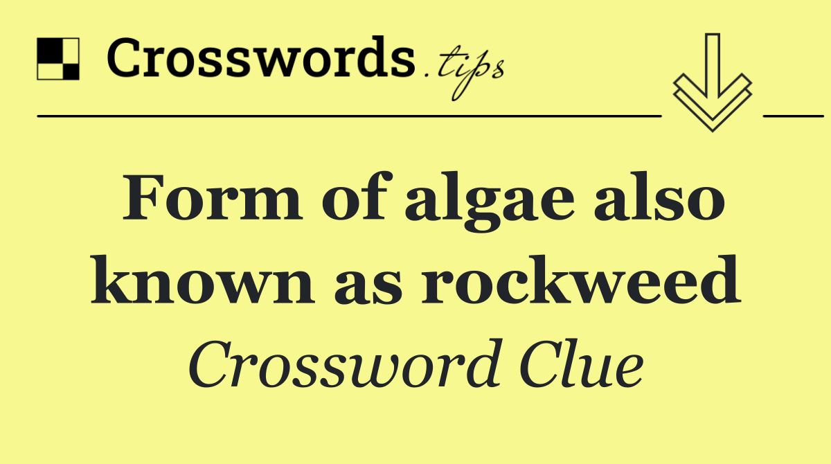 Form of algae also known as rockweed