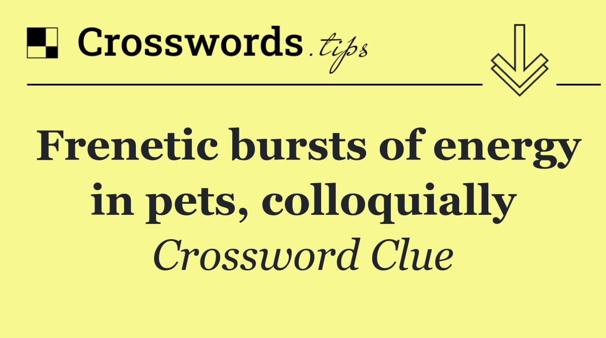 Frenetic bursts of energy in pets, colloquially