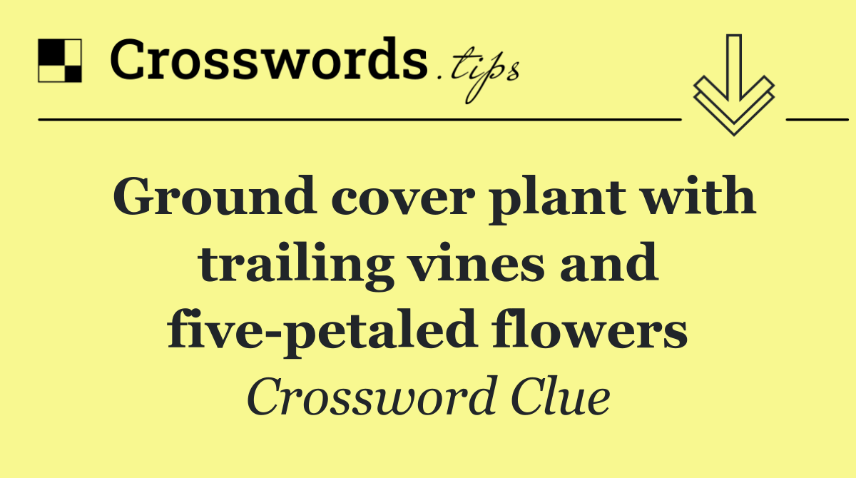 Ground cover plant with trailing vines and five petaled flowers