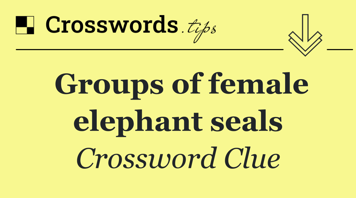Groups of female elephant seals