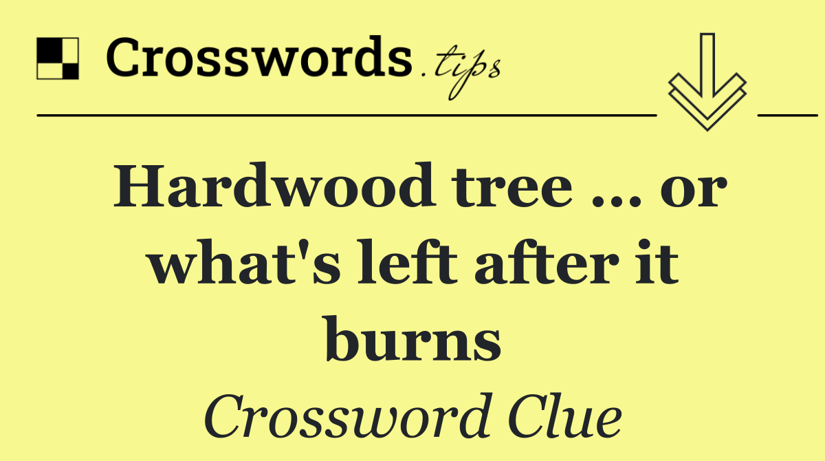 Hardwood tree … or what's left after it burns