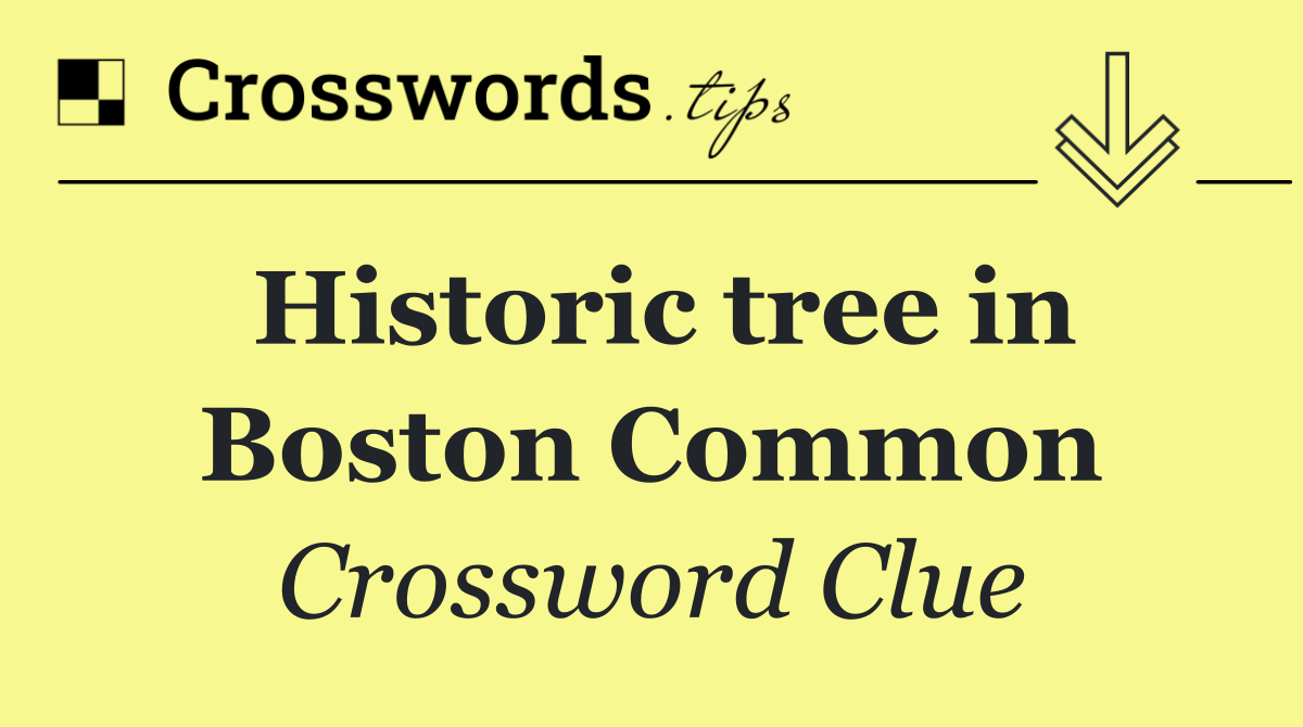 Historic tree in Boston Common