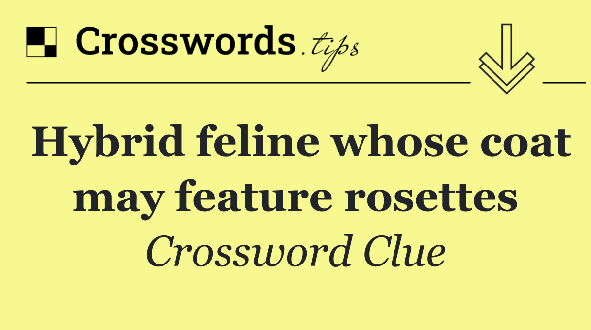 Hybrid feline whose coat may feature rosettes