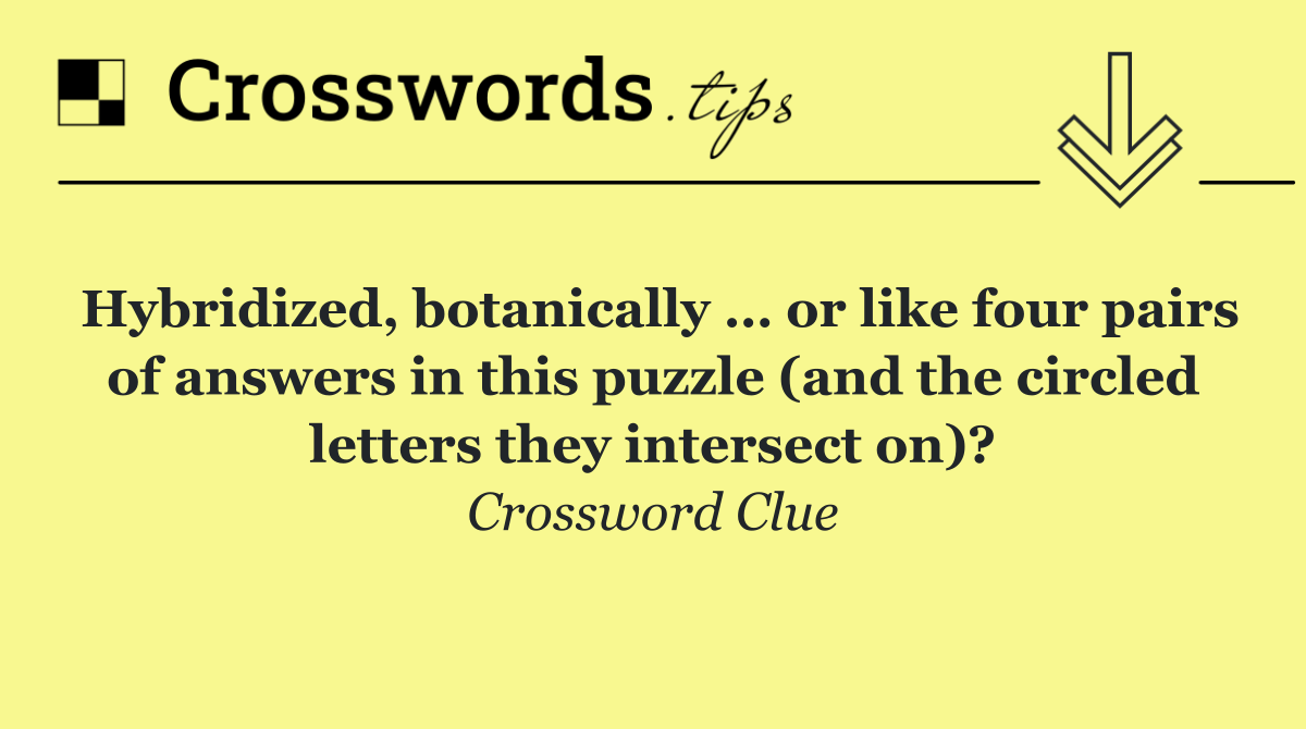 Hybridized, botanically … or like four pairs of answers in this puzzle (and the circled letters they intersect on)?