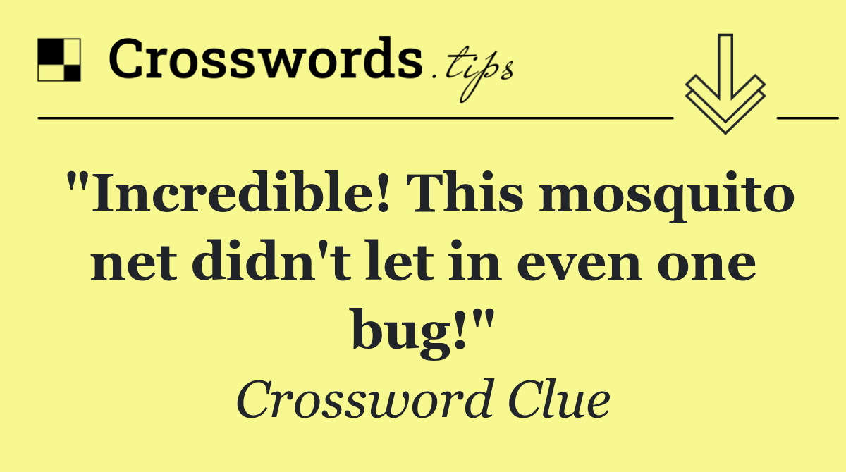 "Incredible! This mosquito net didn't let in even one bug!"
