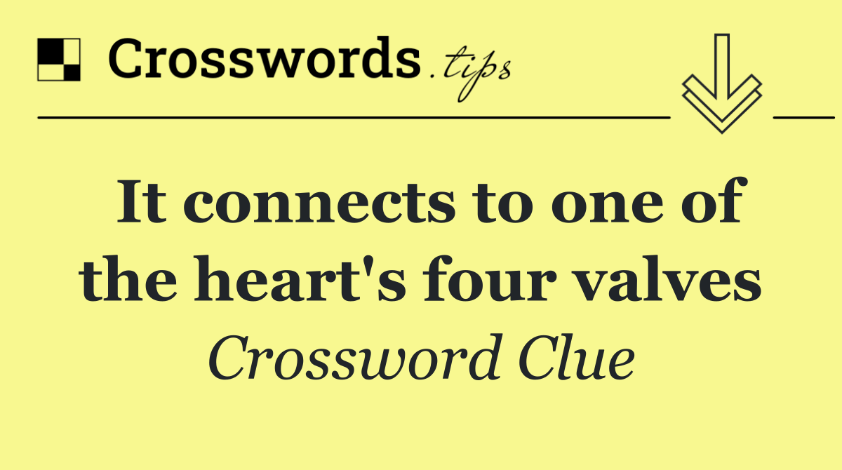 It connects to one of the heart's four valves