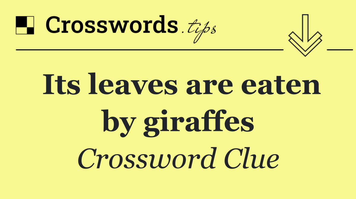 Its leaves are eaten by giraffes