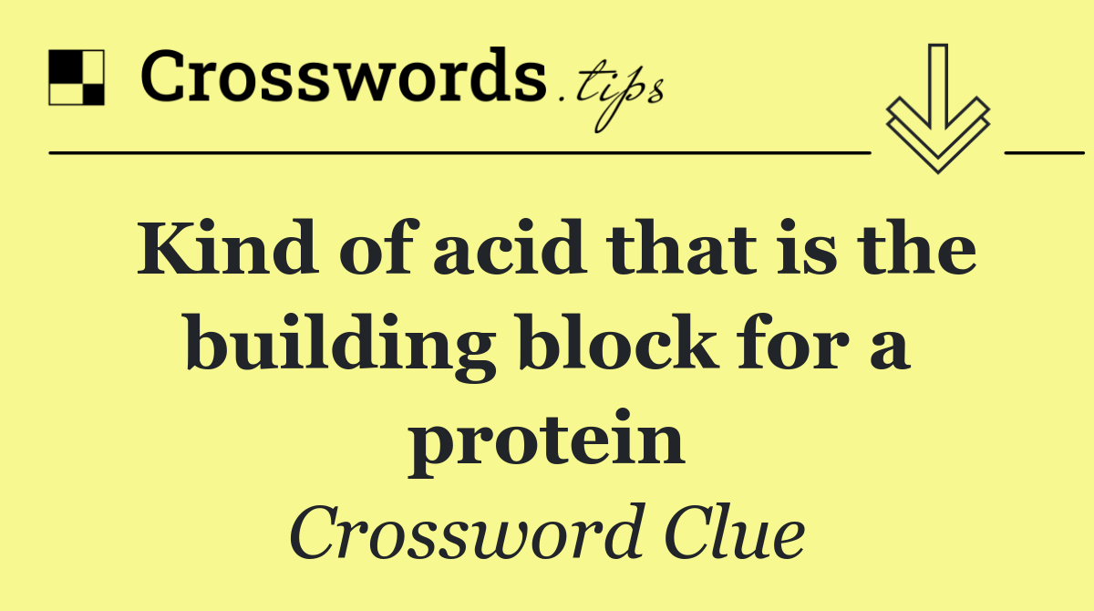 Kind of acid that is the building block for a protein