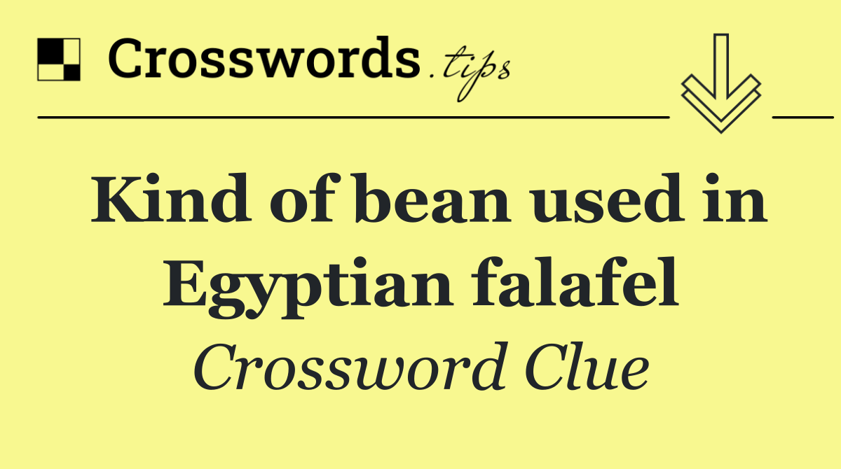 Kind of bean used in Egyptian falafel