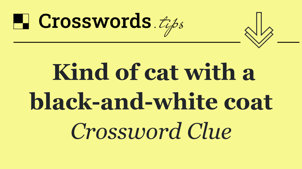 Kind of cat with a black and white coat