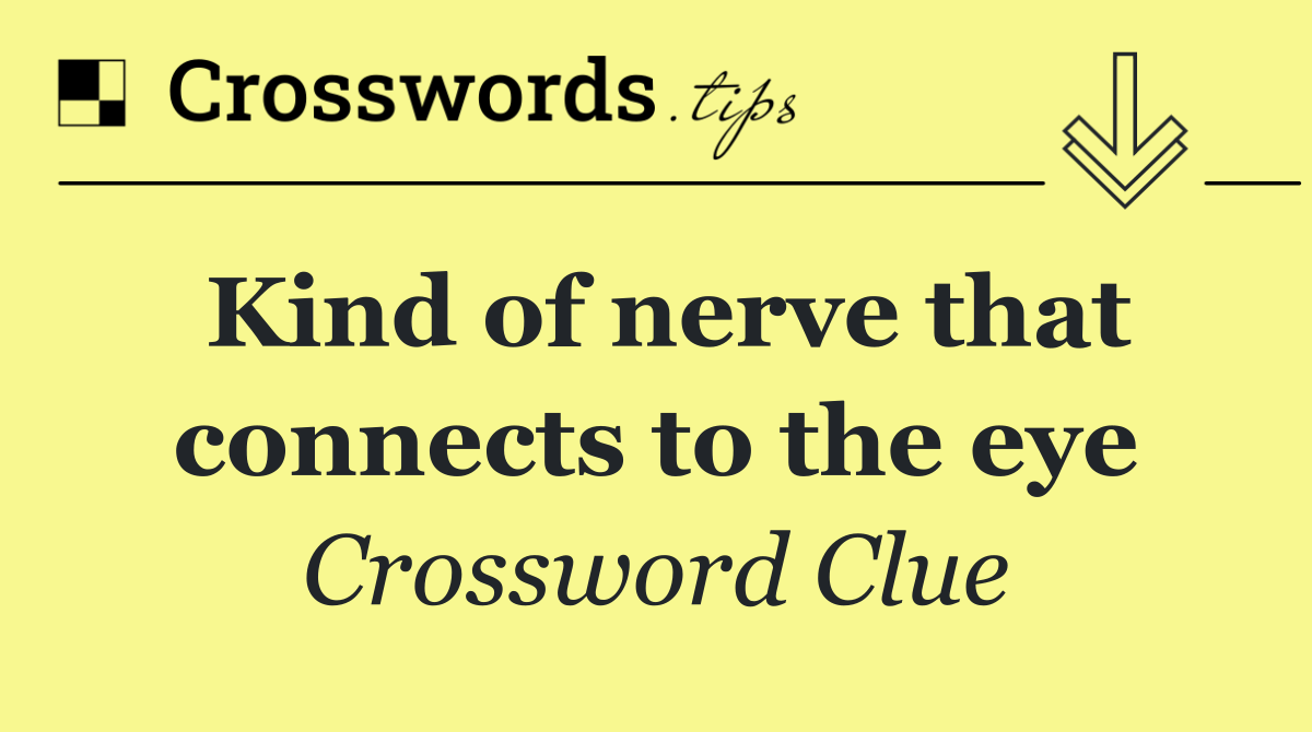 Kind of nerve that connects to the eye