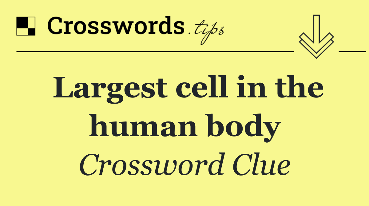 Largest cell in the human body