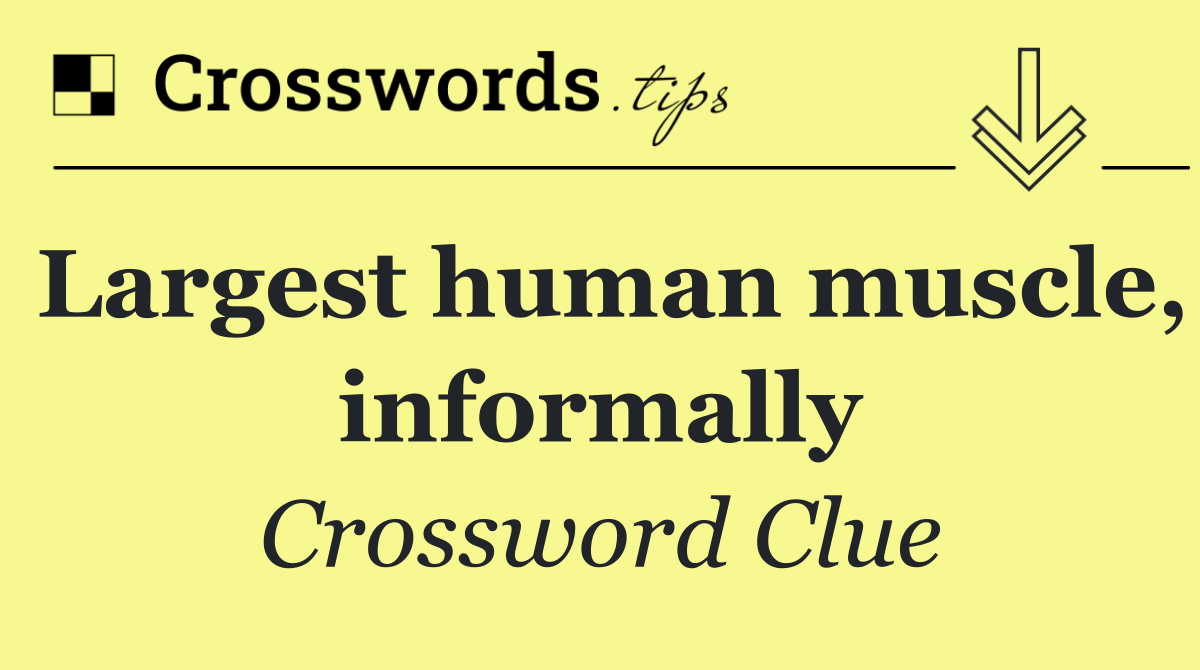 Largest human muscle, informally