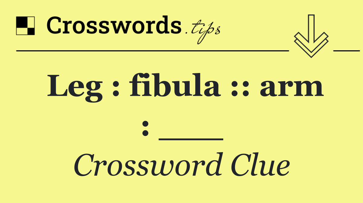 Leg : fibula :: arm : ___