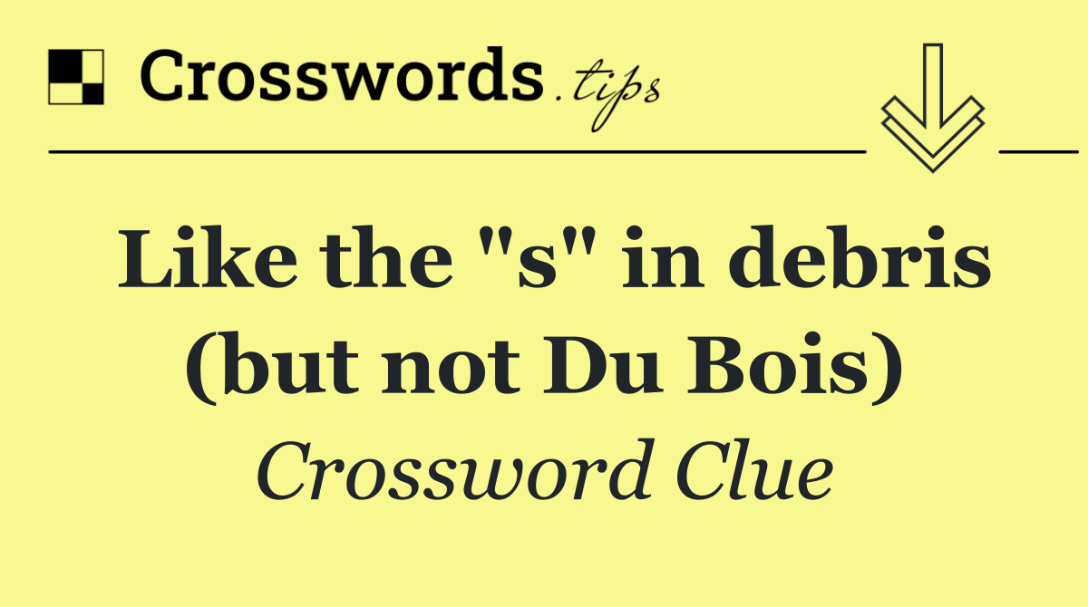 Like the "s" in debris (but not Du Bois)