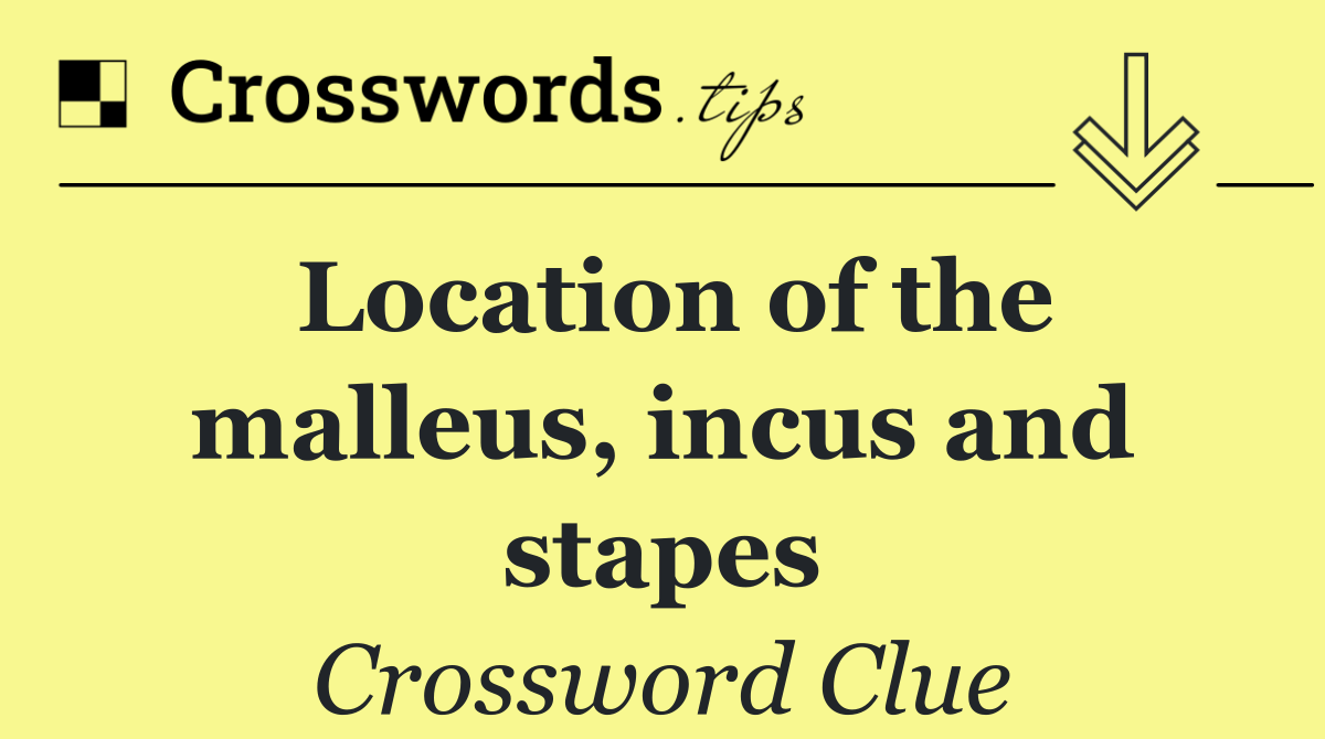 Location of the malleus, incus and stapes