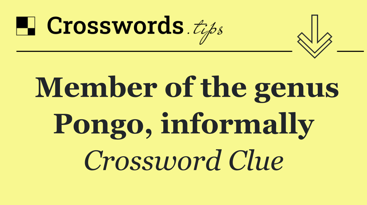 Member of the genus Pongo, informally