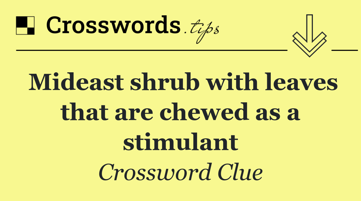 Mideast shrub with leaves that are chewed as a stimulant