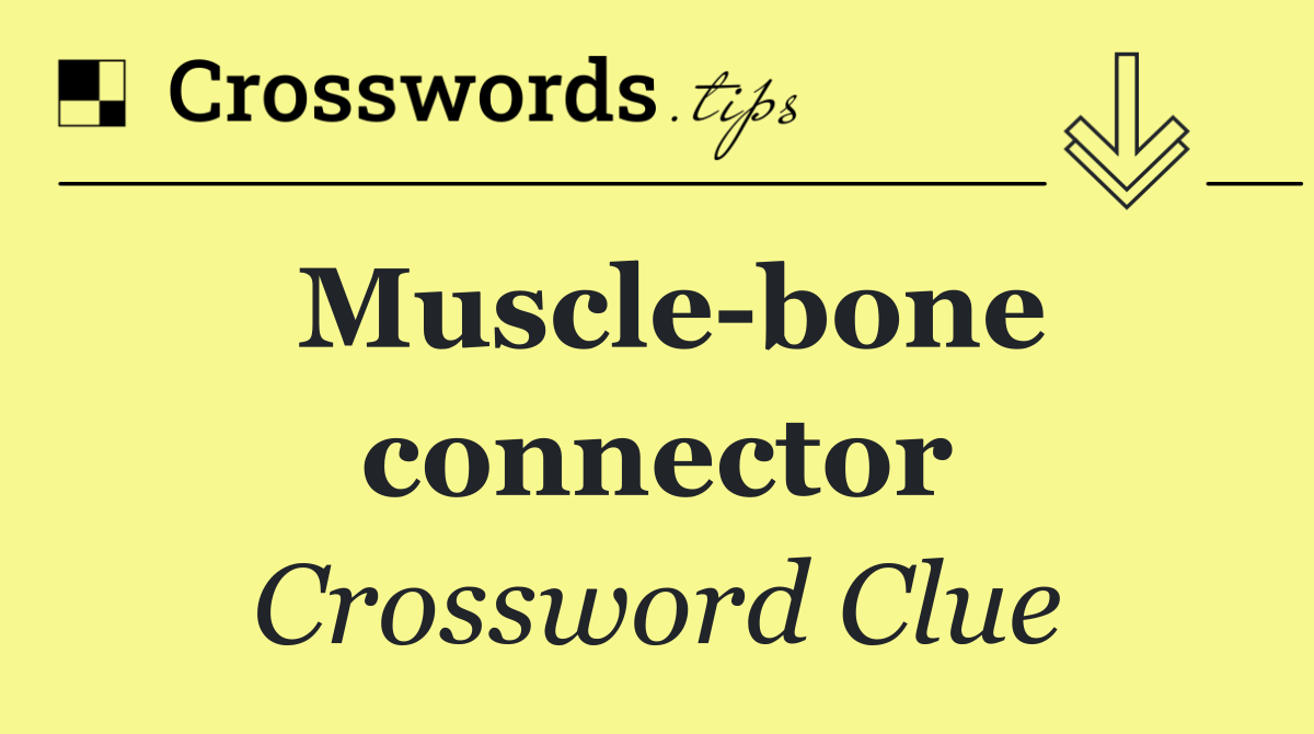 Muscle bone connector