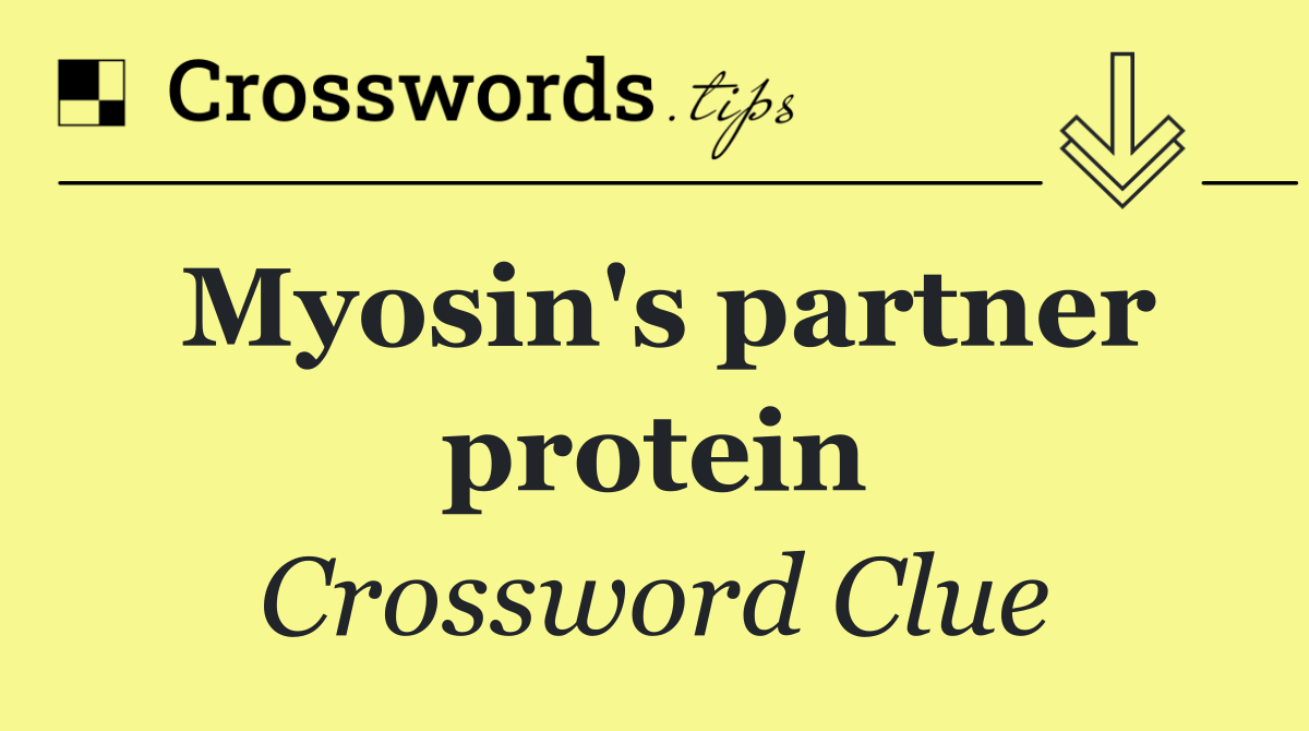 Myosin's partner protein