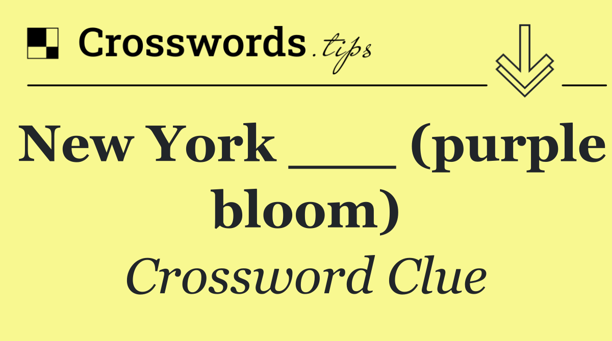 New York ___ (purple bloom)