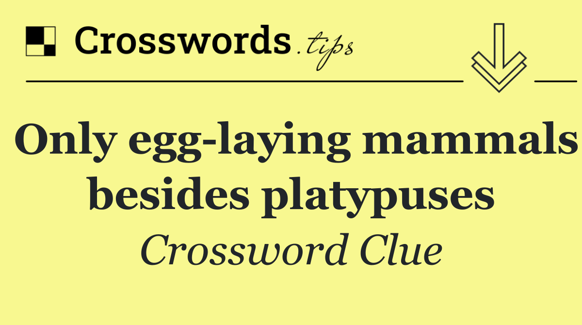 Only egg laying mammals besides platypuses