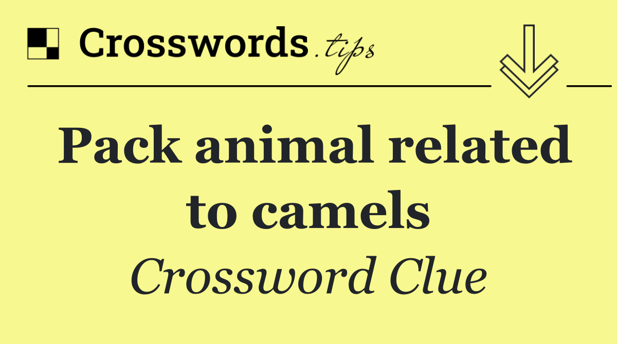 Pack animal related to camels