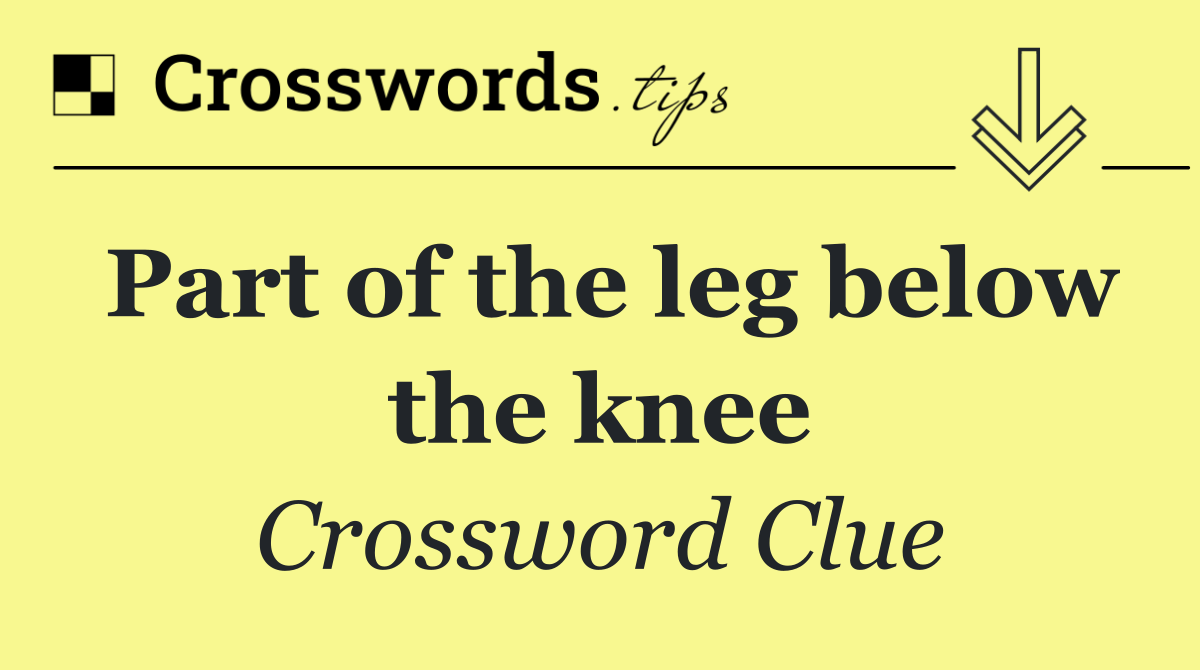 Part of the leg below the knee