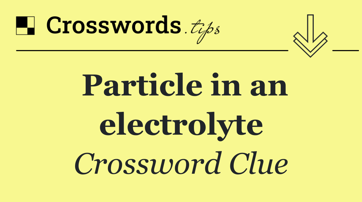 Particle in an electrolyte