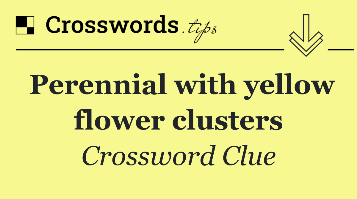 Perennial with yellow flower clusters