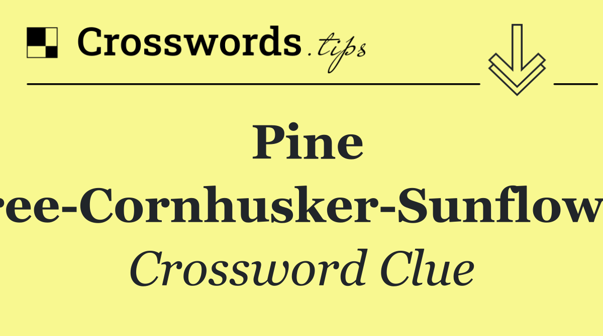 Pine Tree Cornhusker Sunflower