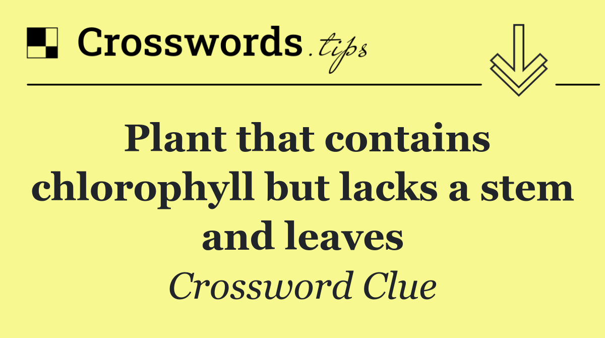 Plant that contains chlorophyll but lacks a stem and leaves