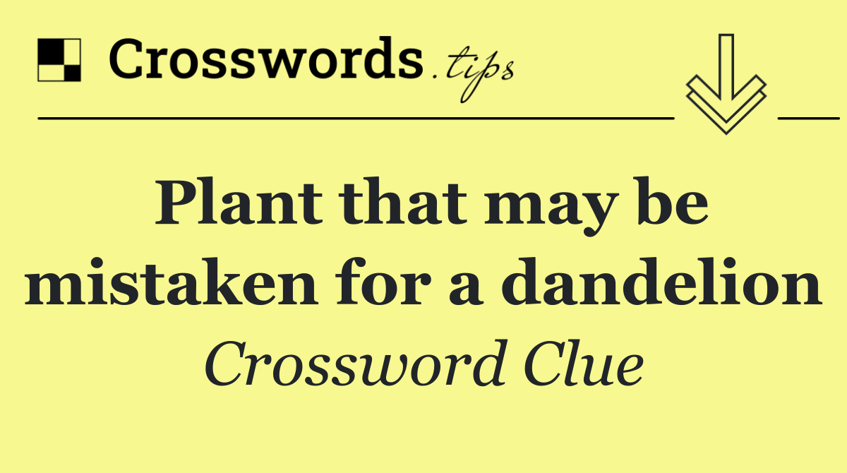Plant that may be mistaken for a dandelion