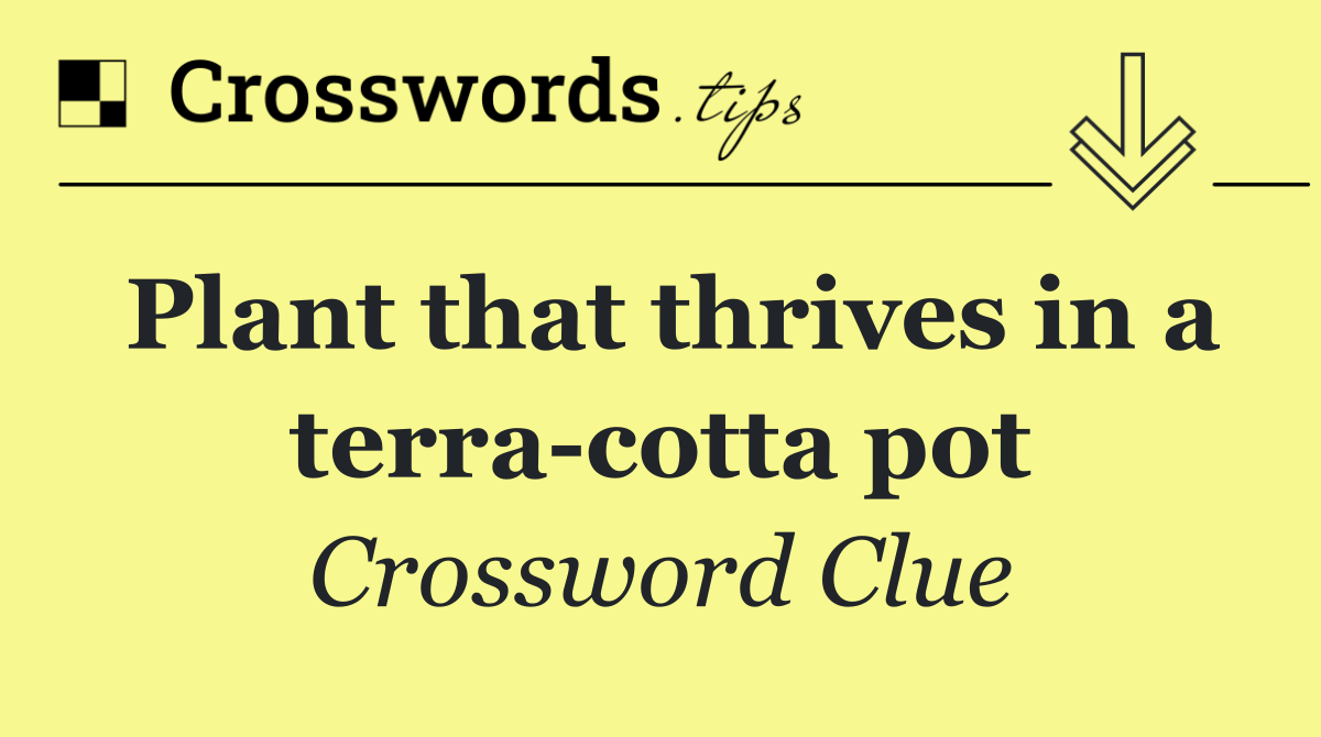 Plant that thrives in a terra cotta pot