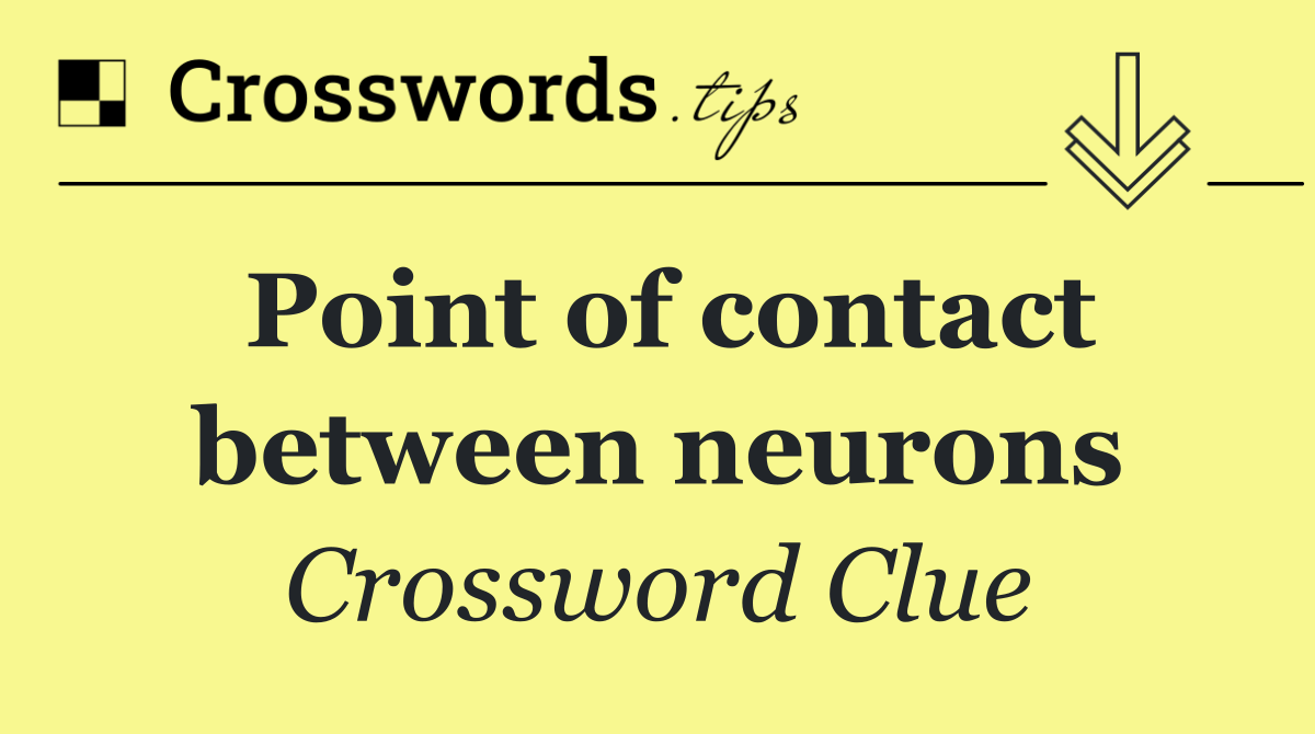 Point of contact between neurons