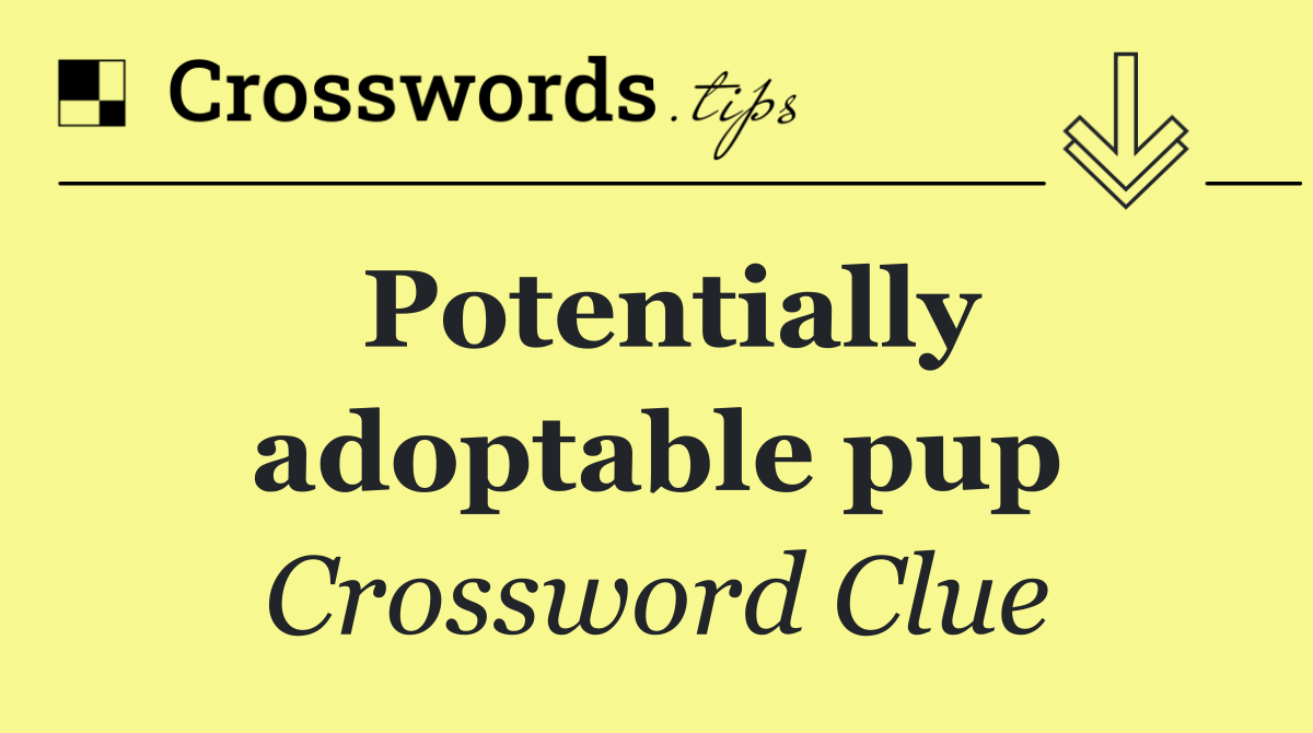 Potentially adoptable pup