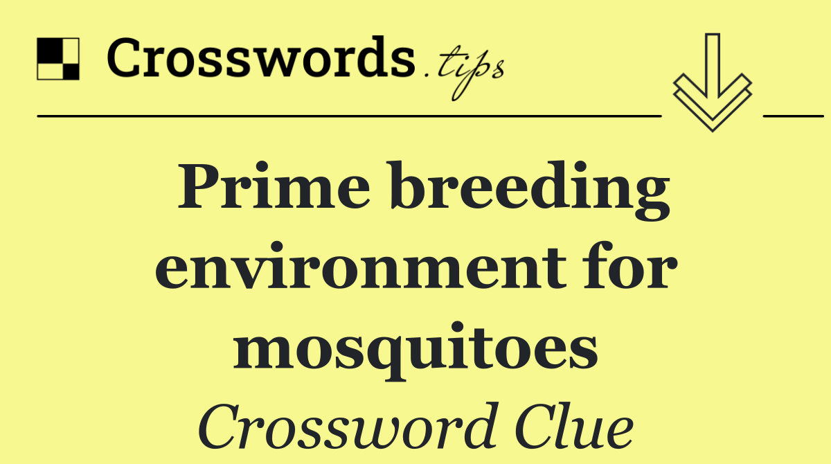Prime breeding environment for mosquitoes