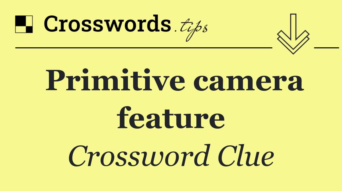 Primitive camera feature