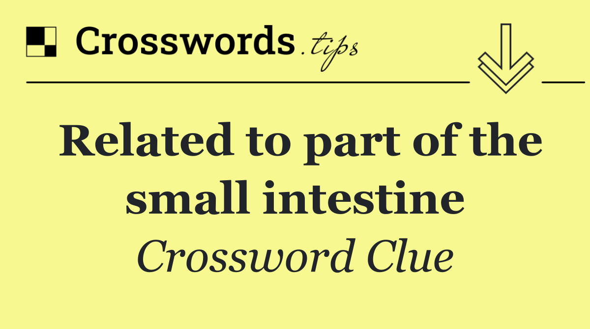 Related to part of the small intestine