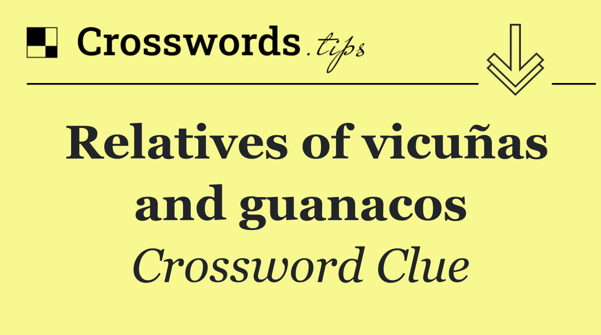 Relatives of vicuñas and guanacos