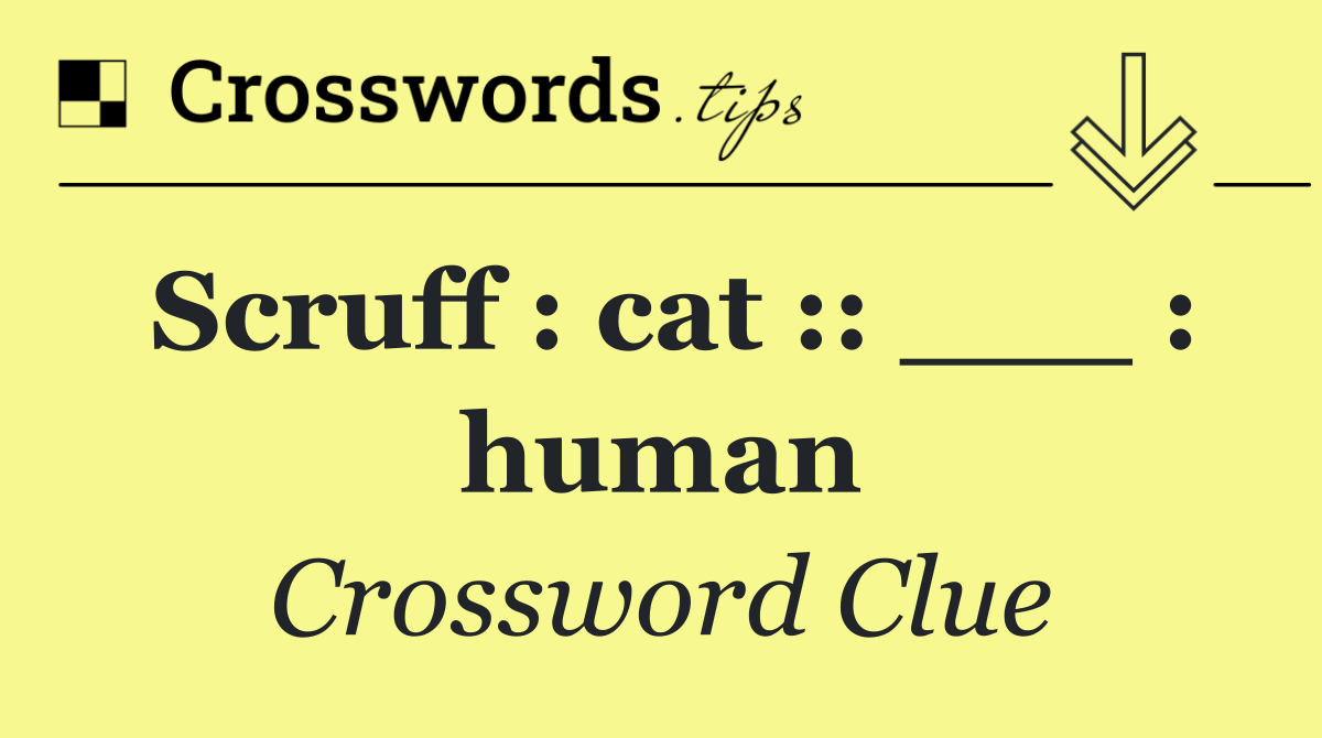 Scruff : cat :: ___ : human