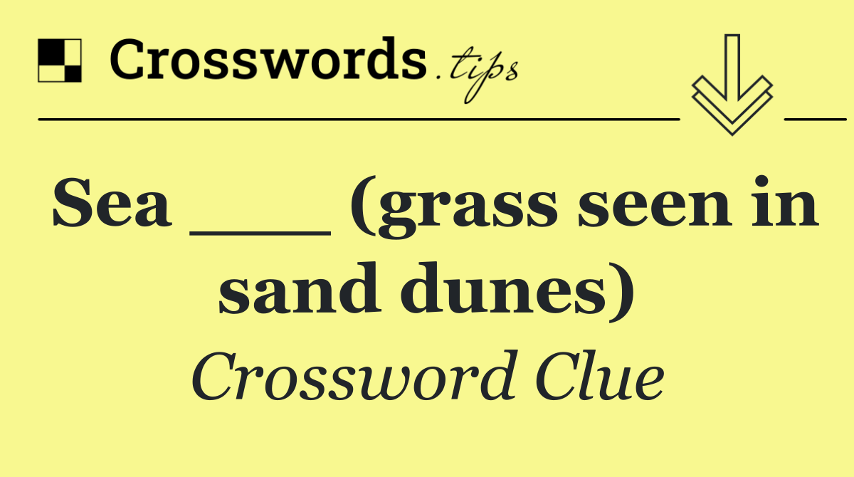 Sea ___ (grass seen in sand dunes)