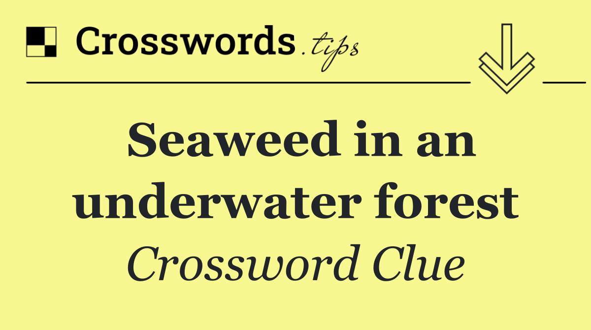 Seaweed in an underwater forest