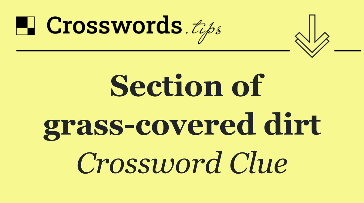 Section of grass covered dirt