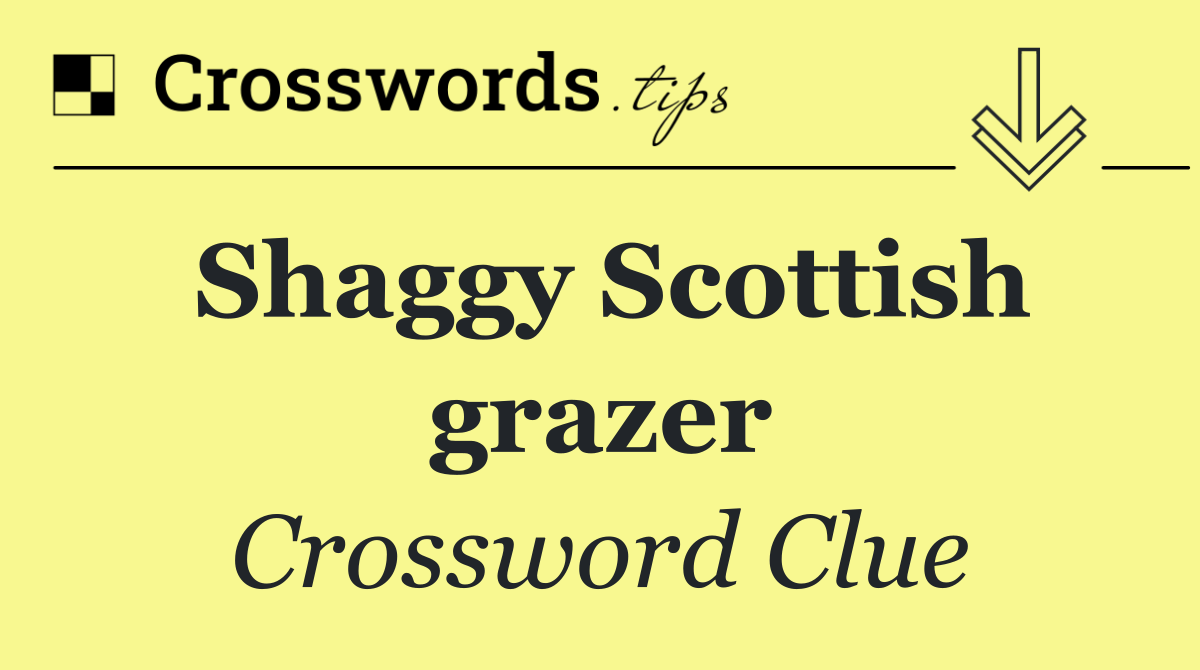 Shaggy Scottish grazer