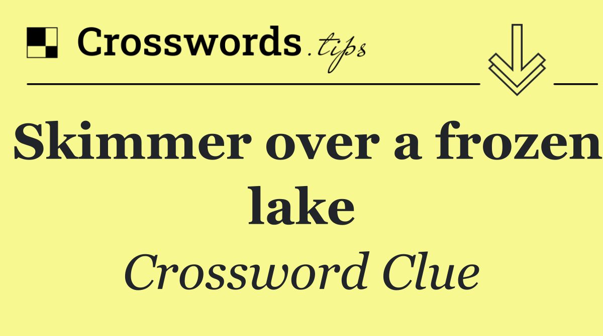 Skimmer over a frozen lake