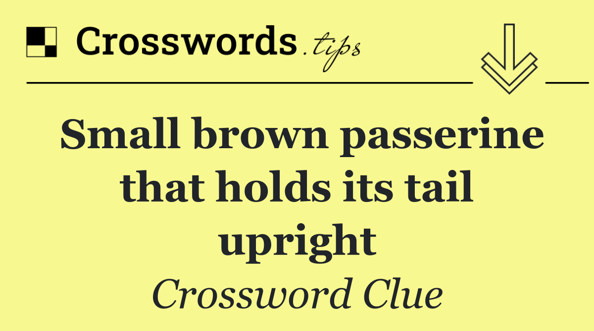 Small brown passerine that holds its tail upright