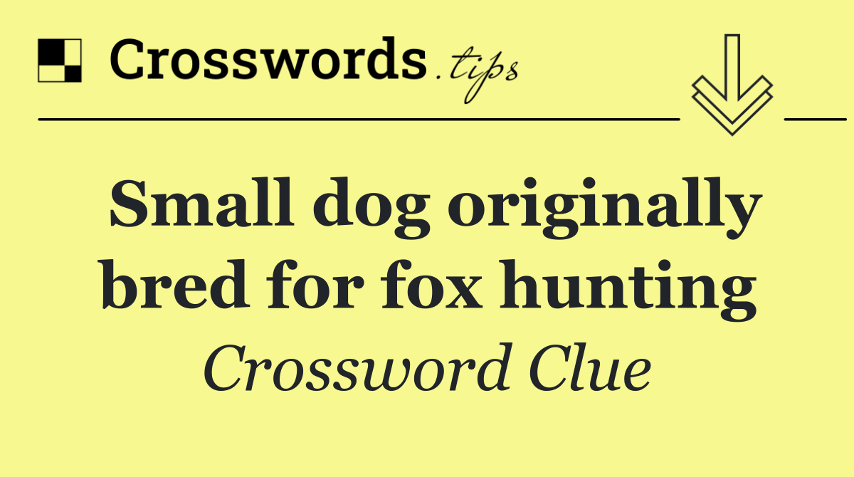 Small dog originally bred for fox hunting