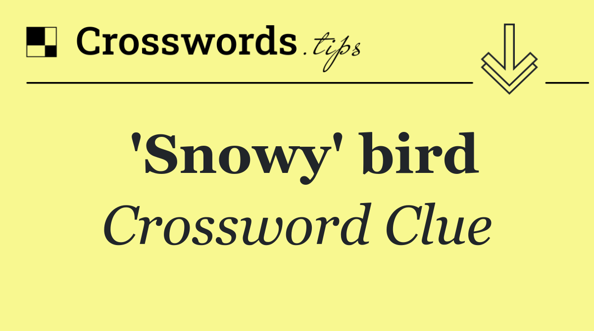 'Snowy' bird