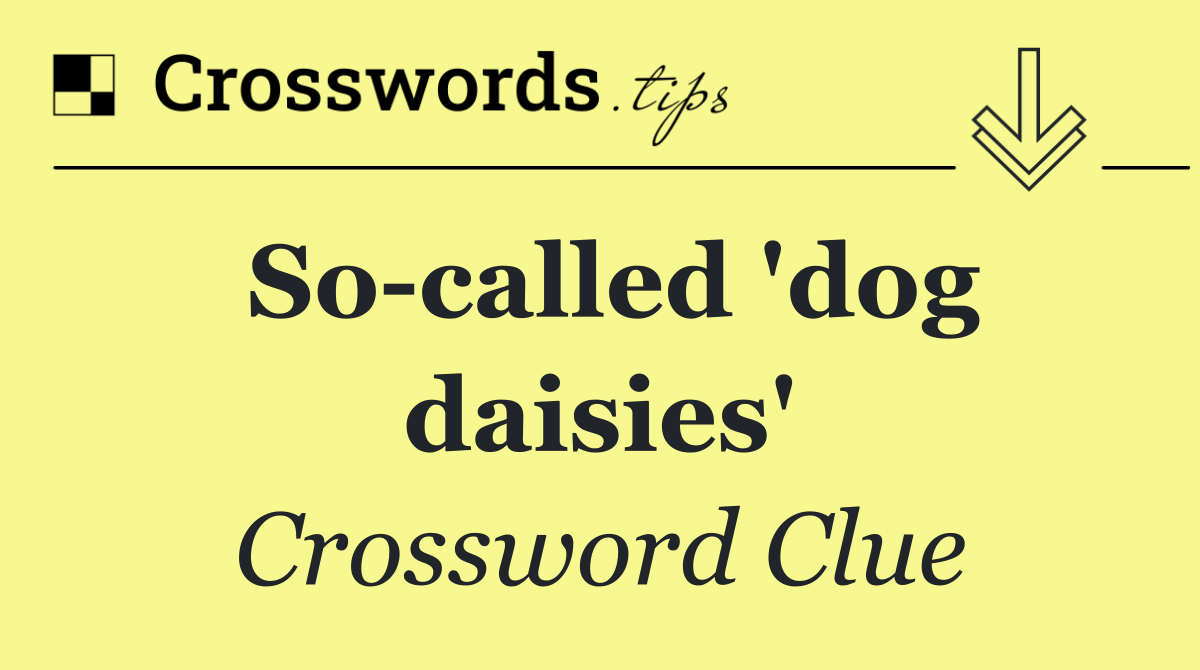 So called 'dog daisies'